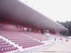 Stadion miejski Alytus
 Litwa (malowanie trybuny)